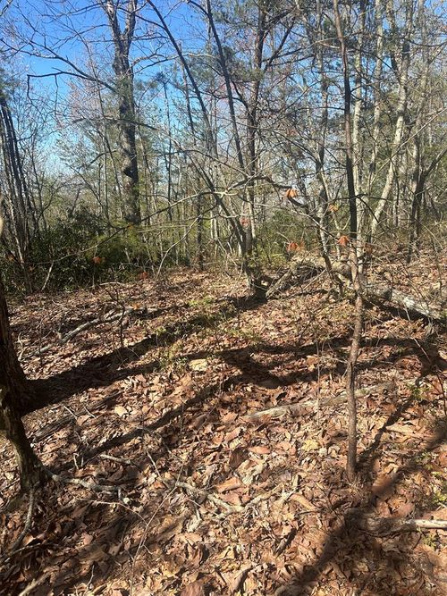 Lot 164 Bluff Ln, Wilder, TN, 38589 | Card Image