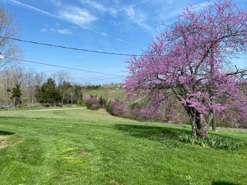 317 Short Rd, Salvisa, KY, 40372-9524 | Card Image