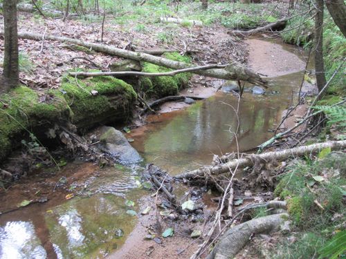 36050 County Highway J, Bayfield, WI, 54814-4443 | Card Image