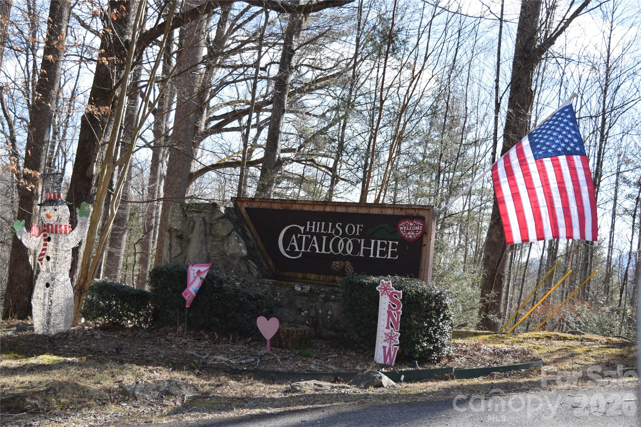 Land in Waynesville 3