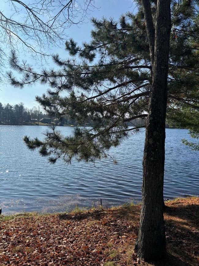 13763 Lake Shore Lane, House other with 2 bedrooms, 1 bathrooms and null parking in Mountain WI | Image 39