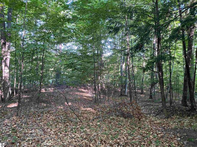 Lot 10 S Club Dr, Home with 0 bedrooms, 0 bathrooms and null parking in Cedar MI | Image 17