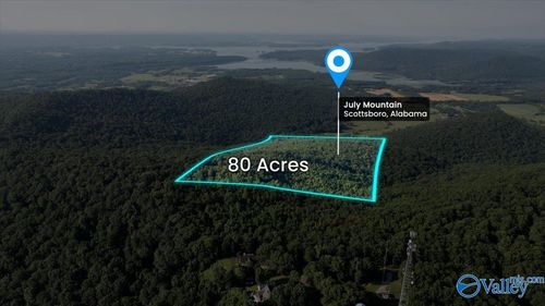 80 Acres Bella Vista Dr, Scottsboro, AL, 35768 | Card Image
