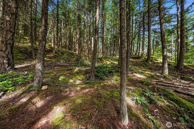 3071 Hales Passage Dr, Home with 0 bedrooms, 0 bathrooms and null parking in Lummi Island WA | Image 17