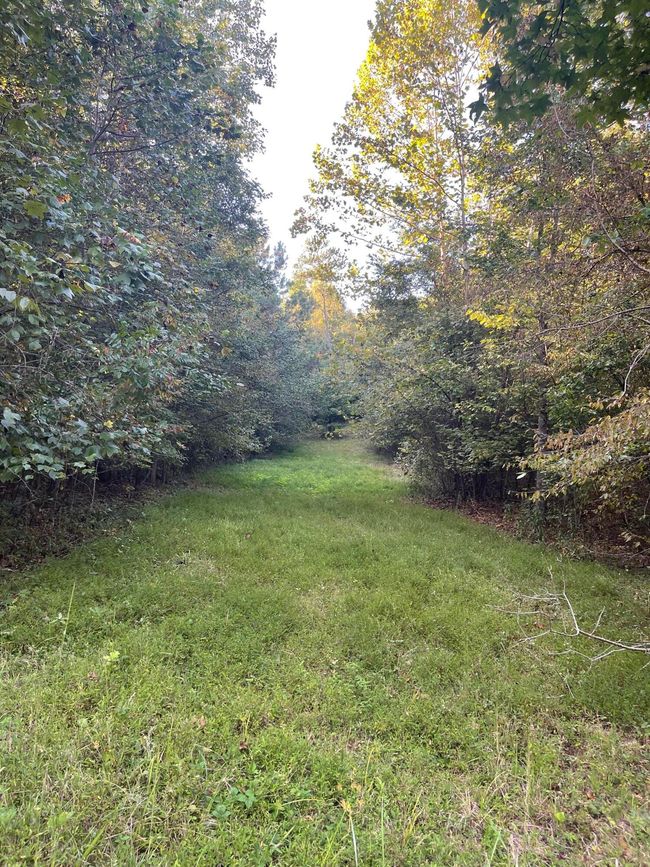 450 County Road 28, House other with 4 bedrooms, 3 bathrooms and null parking in Calhoun TN | Image 123