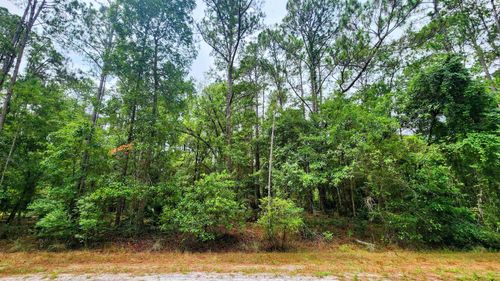 129 Hazel Ave, Georgetown, FL, 32139-2921 | Card Image