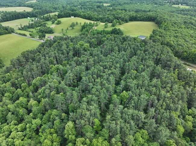 0 Red Rough Rd, Home with 0 bedrooms, 0 bathrooms and null parking in Meadows of Dan VA | Image 10