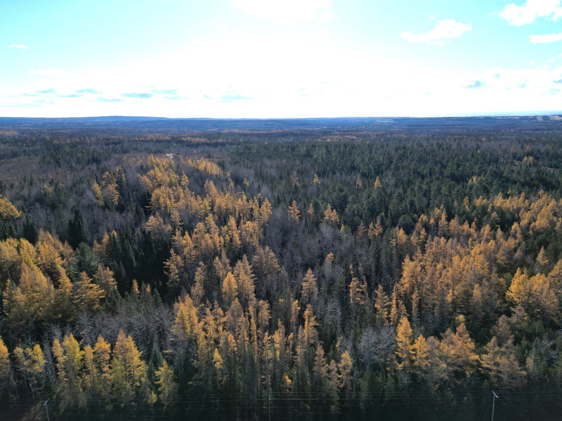 Land in Unknown 4
