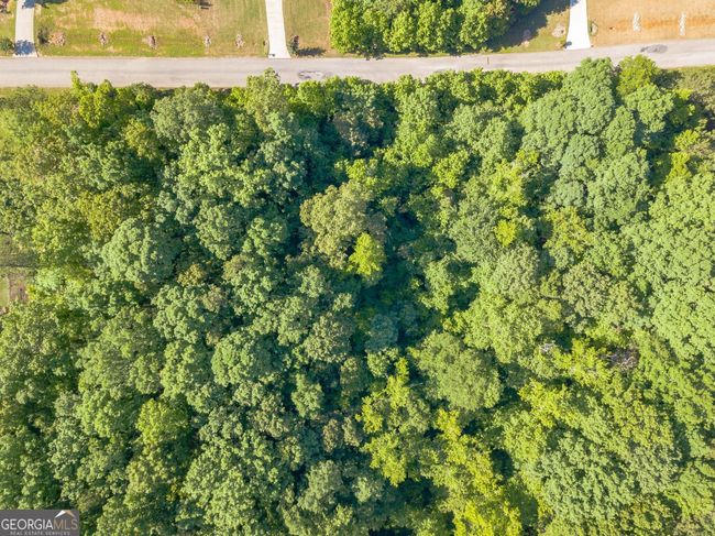 LOT-131 - 0 Hunter Welch Pkwy, Home with 0 bedrooms, 0 bathrooms and null parking in Luthersville GA | Image 14