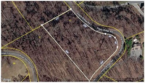 13-1.66 Ac Roan Rd, Roan Mountain, TN, 37687 | Card Image