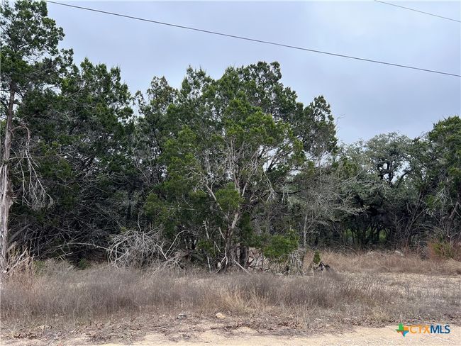 713 Stagecoach Trl, Home with 0 bedrooms, 0 bathrooms and null parking in Spring Branch TX | Image 7