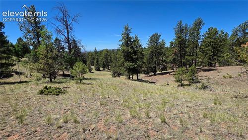 1366 N Mountain Estates Road, Florissant, CO, 80816 | Card Image