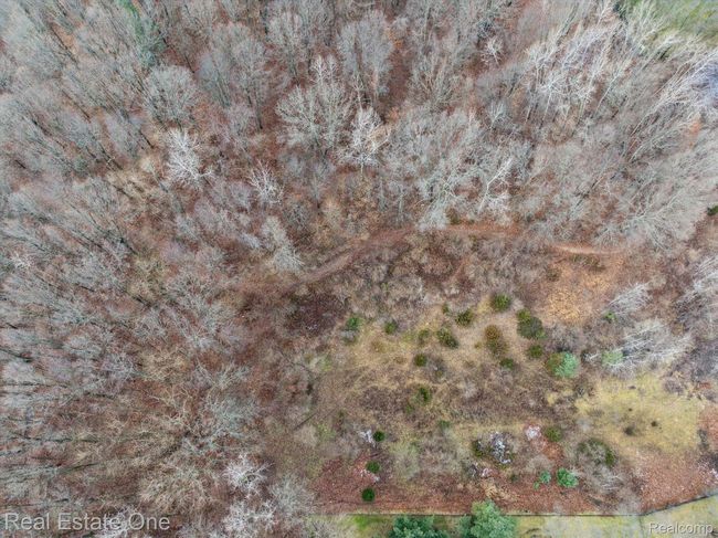 Over 3 Miles of Walking Trails | Image 14
