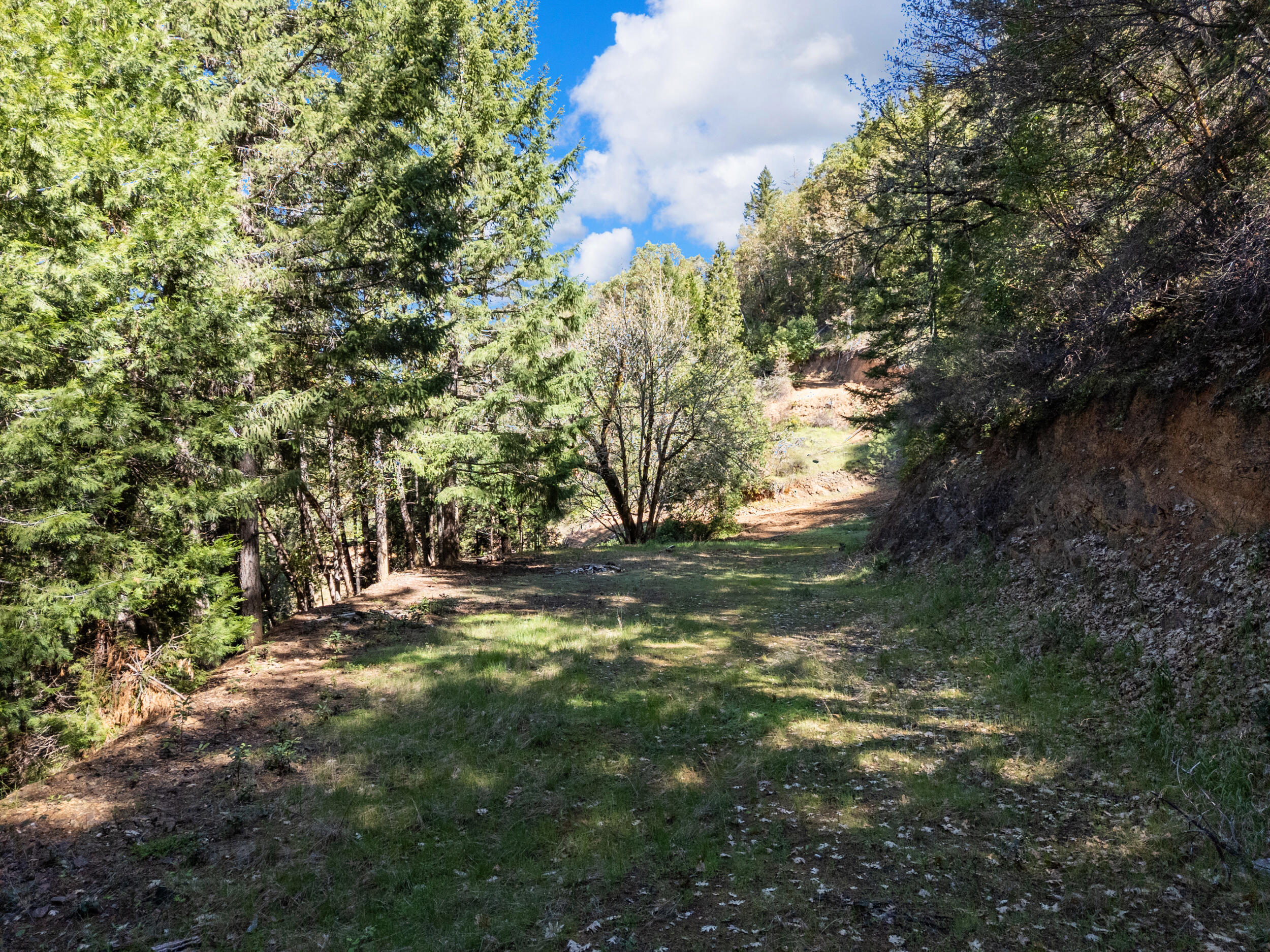 Land in Wolf Creek 3
