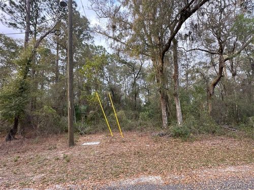 3523 E Lou Lane, Inverness, FL, 34442 | Card Image