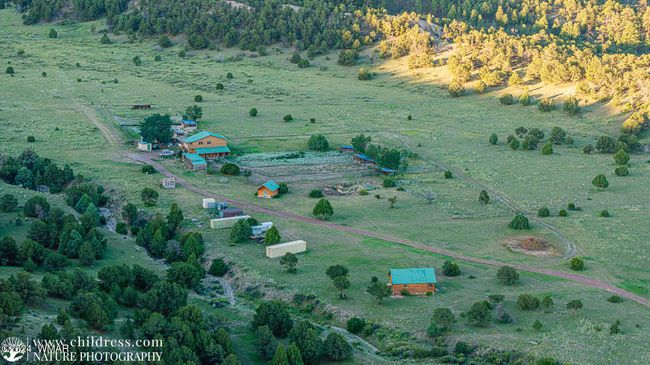 Cabin & Adjoining Property | Image 19