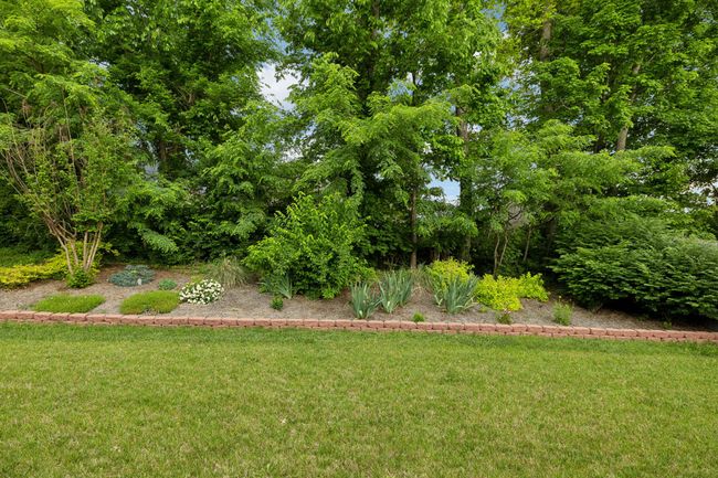 This is the natural screen of the backyard giving so much privacy along with beauty year round. This is not the only lush landscaping. You will see upgraded landscaping on all sides of this home. The irrigation system keeps it all looking fresh! | Image 16