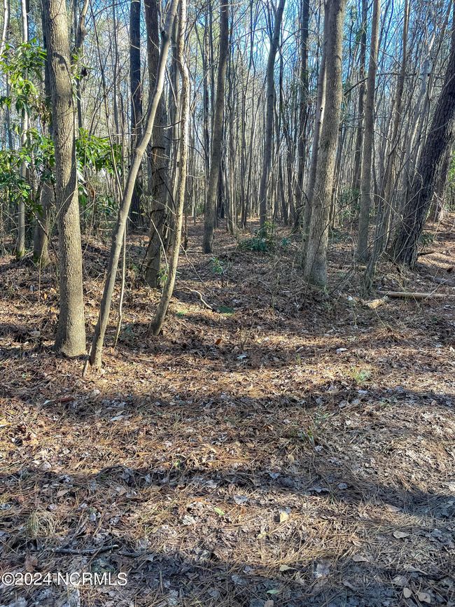 00 Sykes Town Rd, Home with 0 bedrooms, 0 bathrooms and null parking in Currie NC | Image 56