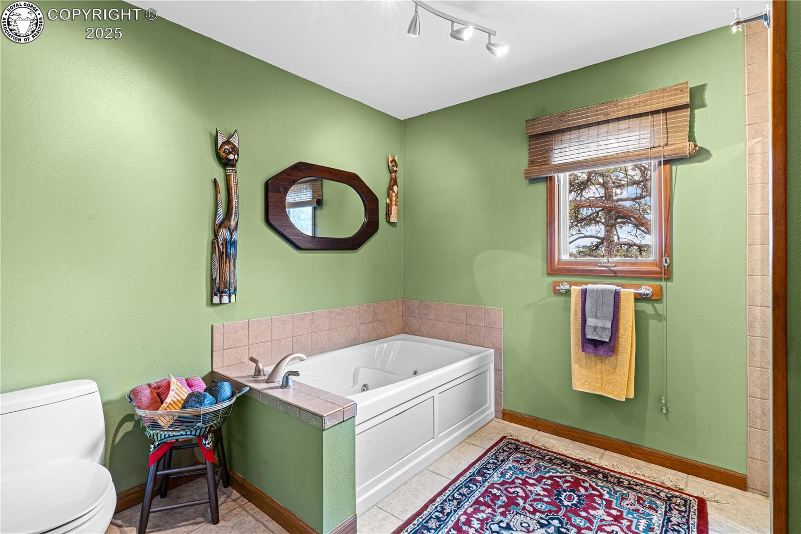 Residential in Westcliffe 4
