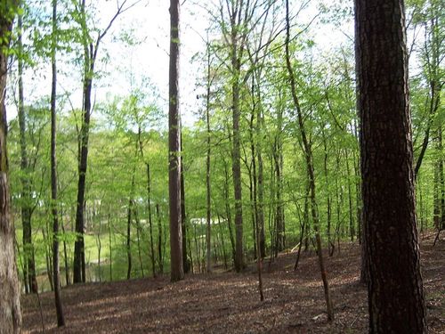 0 Brer Rabbit Trail, Milledgeville, GA, 31061 | Card Image