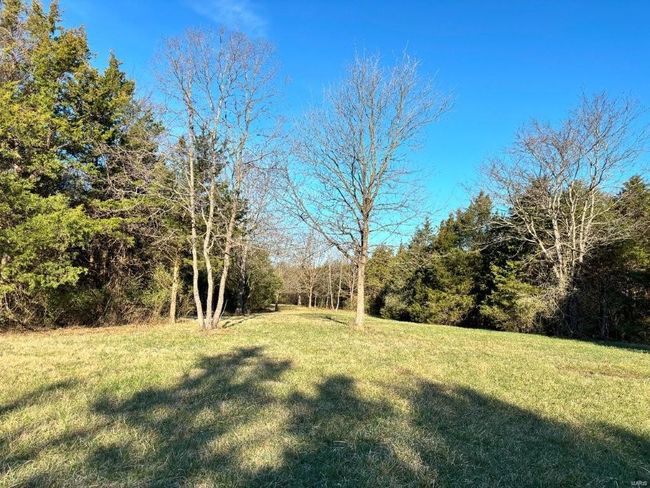 View of yard | Image 24