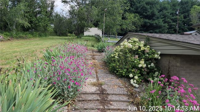 flower lined staircase | Image 9