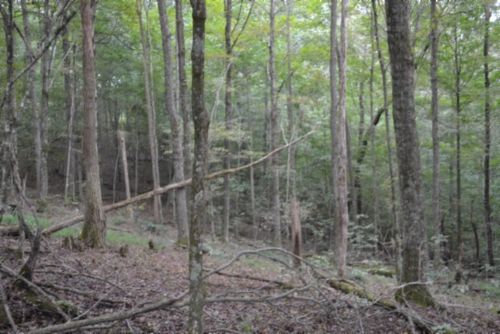 0 West Ln, Gainesboro, TN, 38562 | Card Image