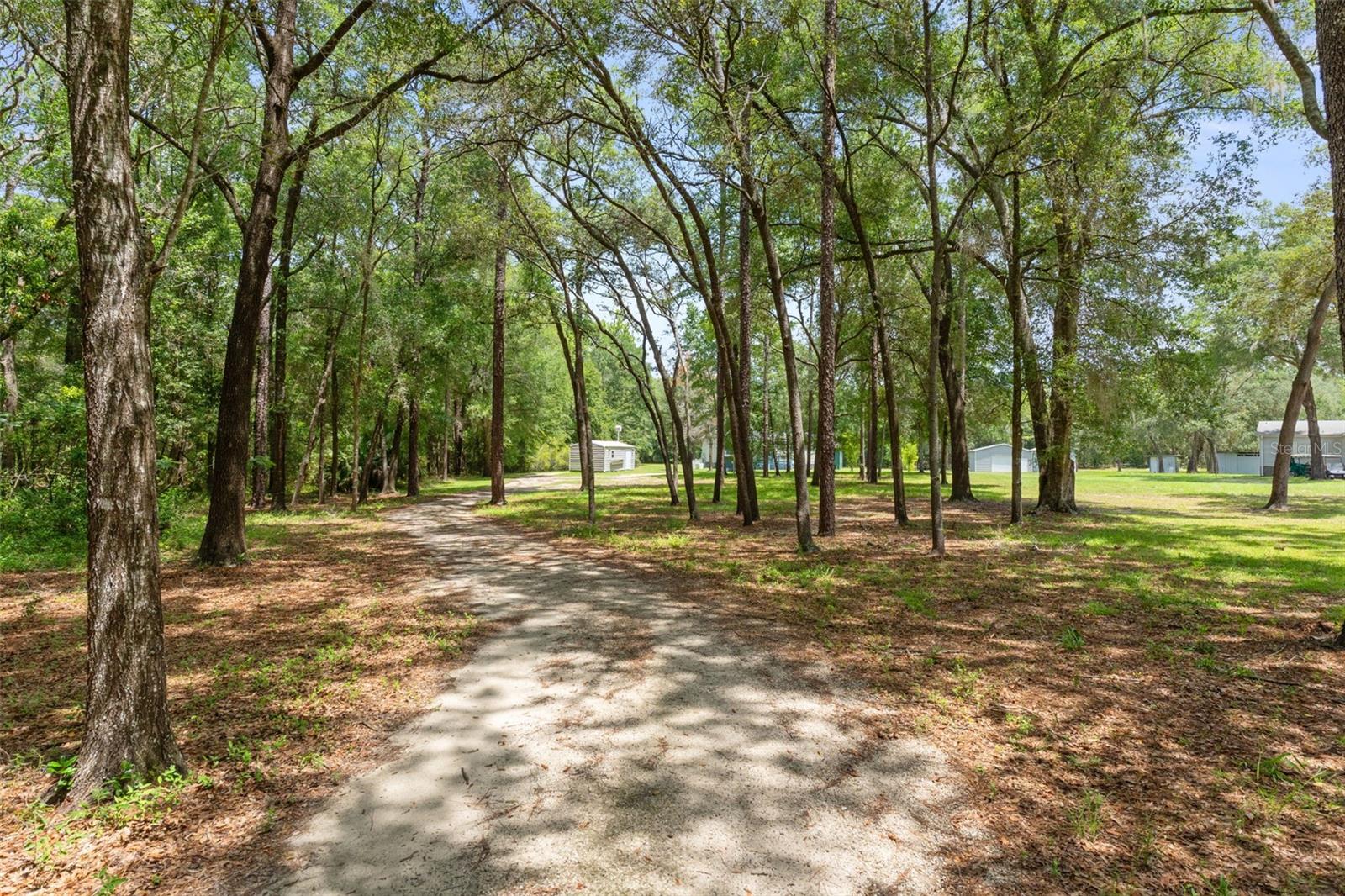 Residential in DUNNELLON 3