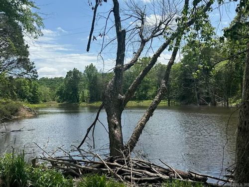 195 Old Springfield Rd, Quitman, AR, 72131-8939 | Card Image