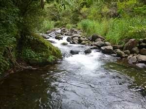 Land in Haleiwa 2