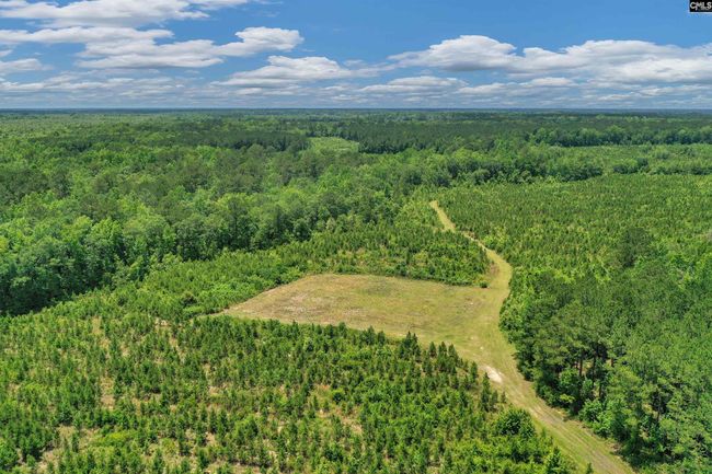 0000 N Brewington Rd, Home with 0 bedrooms, 0 bathrooms and null parking in Manning SC | Image 5