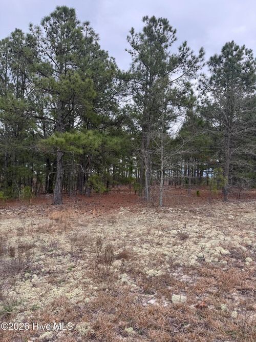 138 Batton Rd, Hamlet, NC, 28345-8070 | Card Image