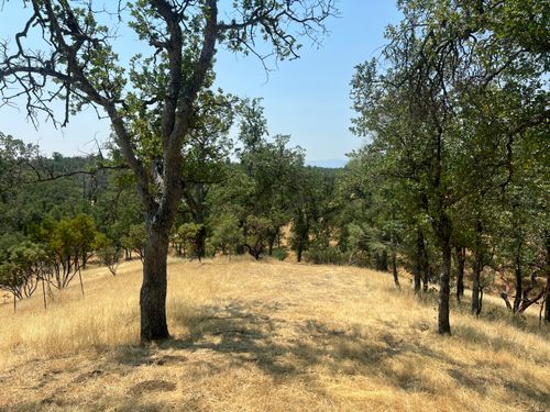 63 Little Oak Ln, Cottonwood, CA, 96022 | Card Image