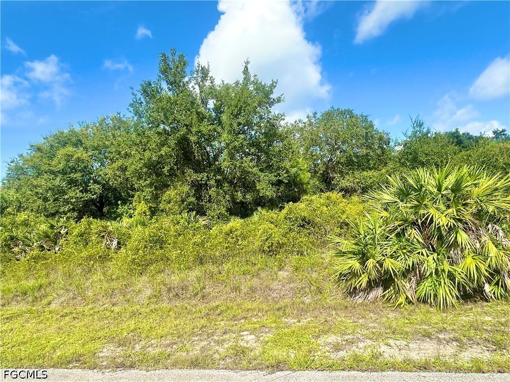 Land in Lehigh Acres