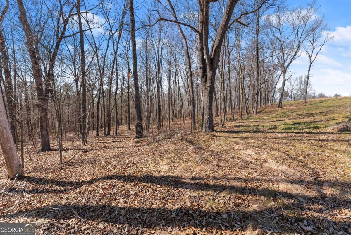 Land in Carnesville 5