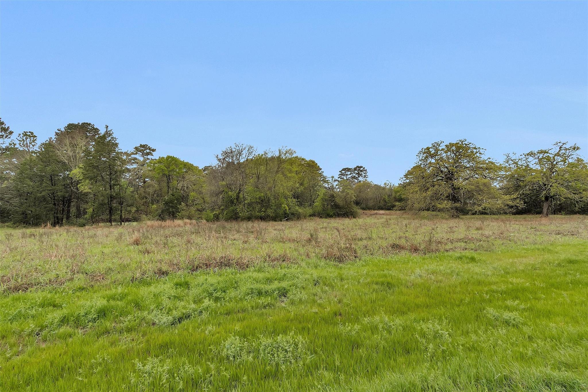 Farm in Riverside 5