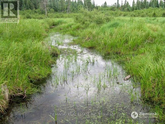 LT 11 Con 3 Murphy Twshp Acres, Home with 0 bedrooms, 0 bathrooms and null parking in Timmins (TS - SE) ON | Image 8