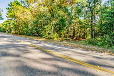 Lot 19 Sioux Cir, Home with 0 bedrooms, 0 bathrooms and null parking in Crestview FL | Image 3