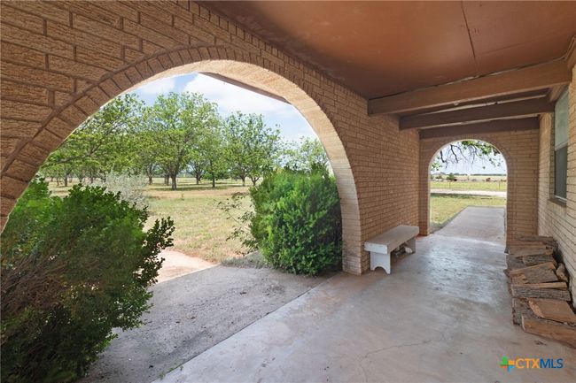 Front porch overlooking pecan orchard | Image 8