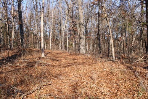 0 Sw 50 Rd, Osceola, MO, 64776 | Card Image