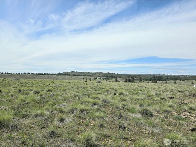 226 Duree Rd, Home with 0 bedrooms, 0 bathrooms and null parking in Bickleton WA | Image 11