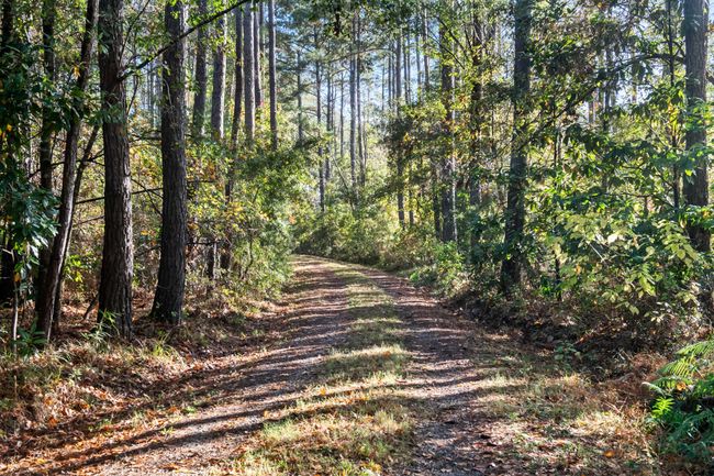HFL_OSBORNE TRACT-2 | Image 9