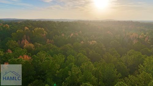 0 Dennis Creek Rd, Talbotton, GA, 31827 | Card Image