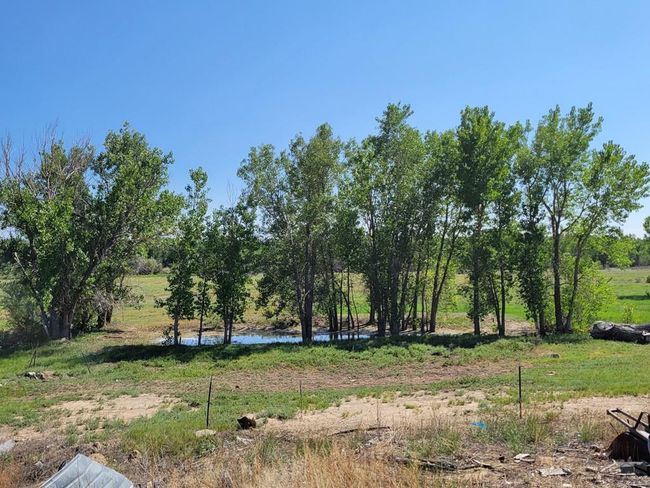 49300 E State Highway 96, House other with 3 bedrooms, 3 bathrooms and 1 parking in Avondale CO | Image 4