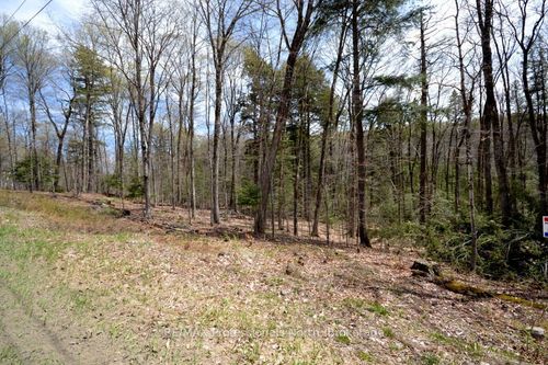 0 Liswood Rd, Haliburton, ON, K0M1S0 | Card Image