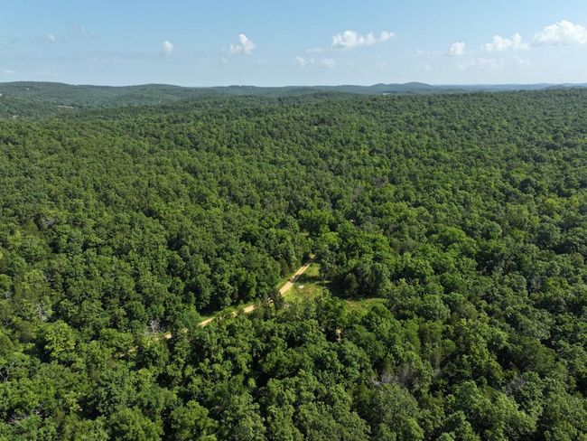 dji_fly_20250620_101956_0005_17504331169 | Image 41
