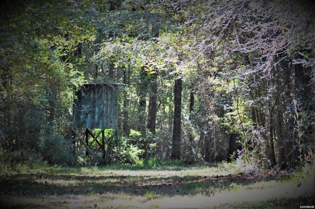 000 Dallas 273 Rd, Home with 0 bedrooms, 0 bathrooms and null parking in Sparkman AR | Image 16