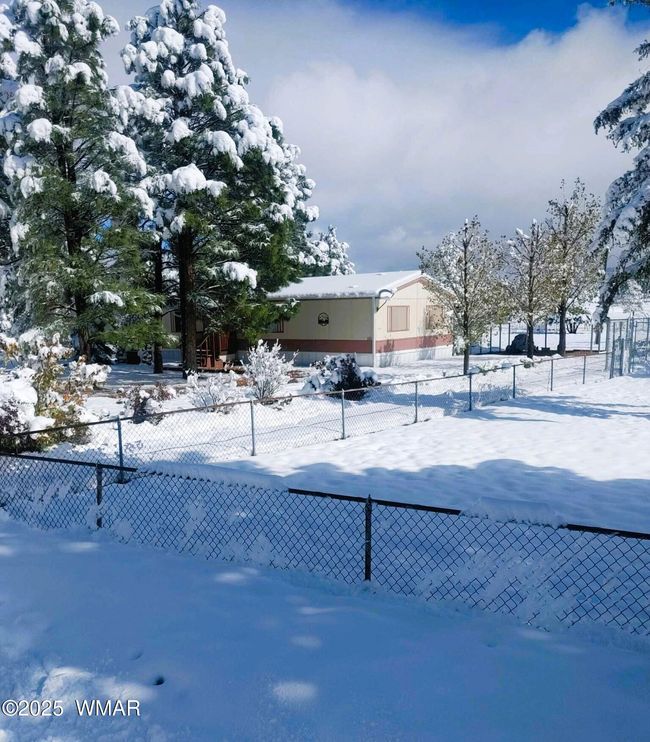 29 Snowy View | Image 29