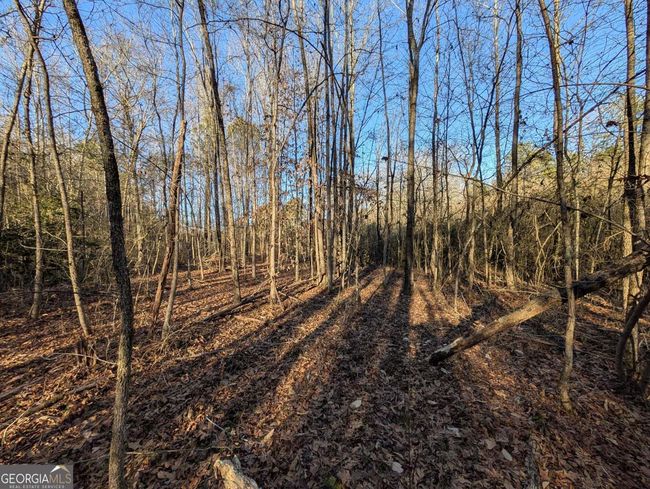 0 Ridgeway Rd, Home with 0 bedrooms, 0 bathrooms and null parking in Trion GA | Image 23