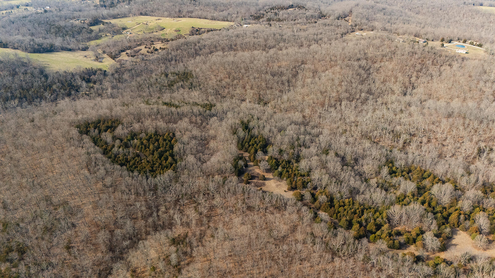Land in Fordland 2